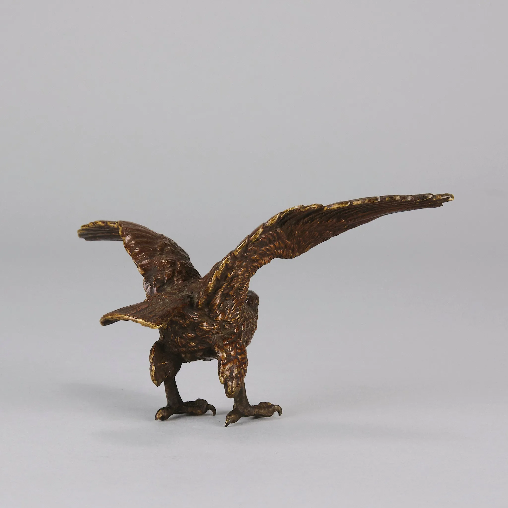 "Eagle with Outspread Wings" by Franz Bergman