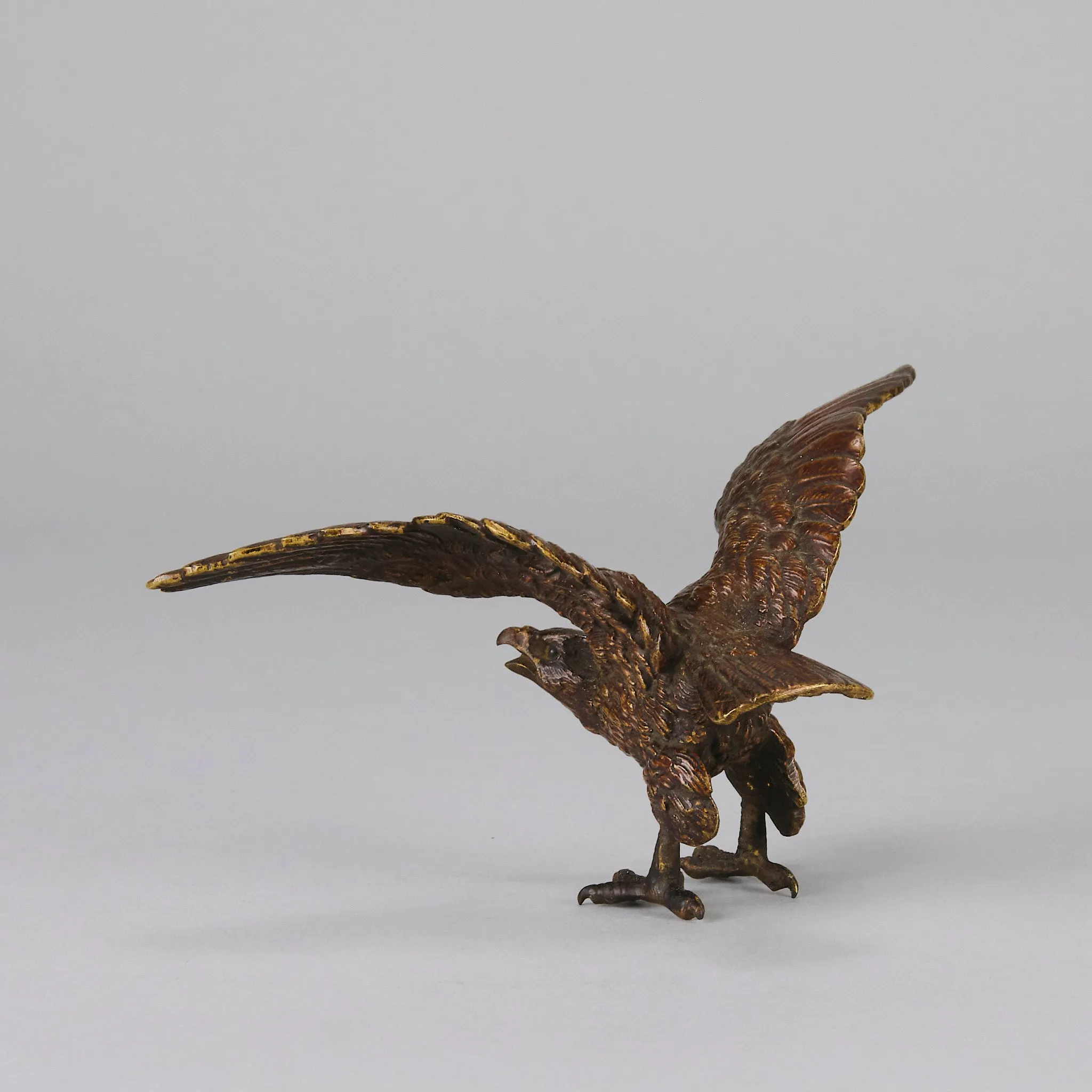 "Eagle with Outspread Wings" by Franz Bergman