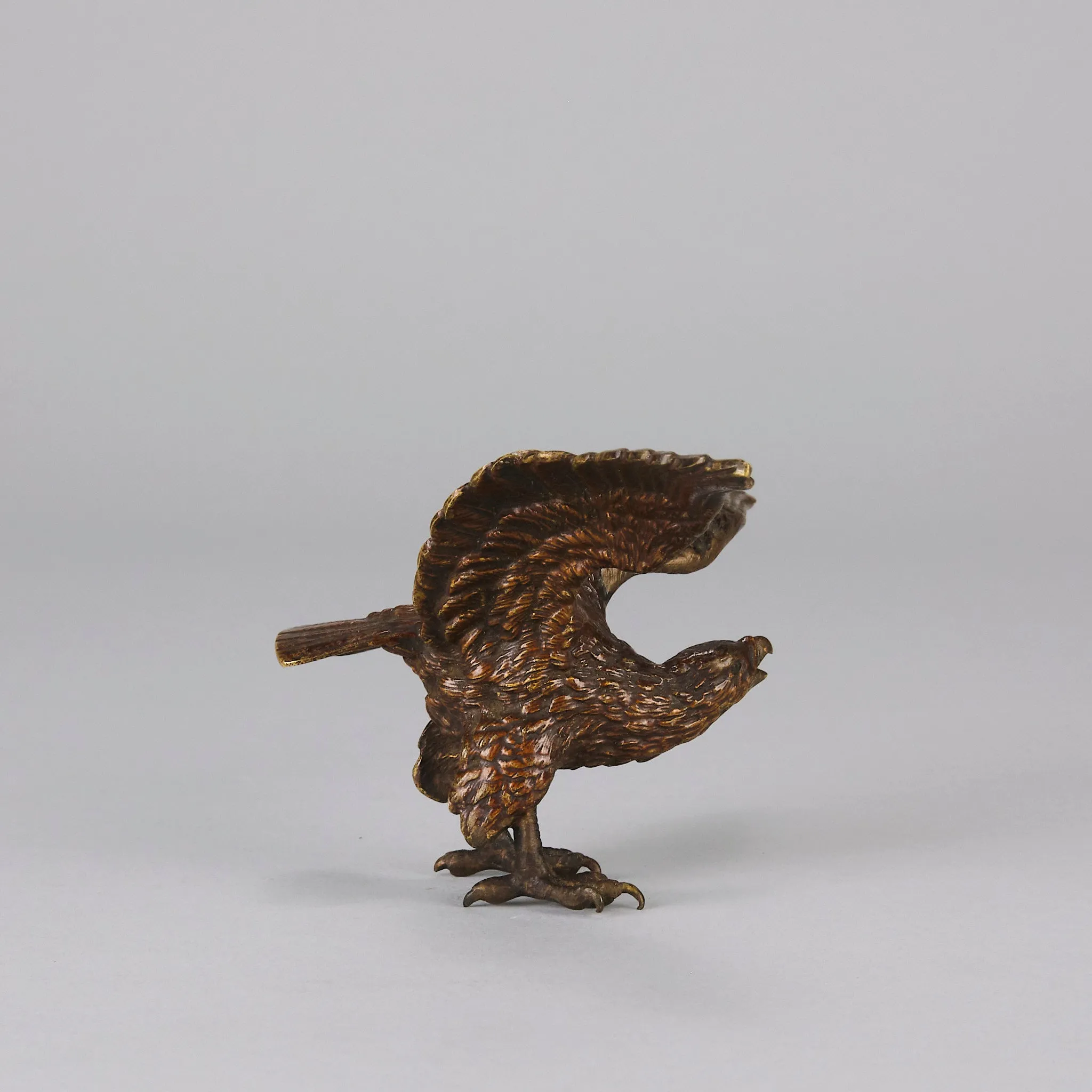 "Eagle with Outspread Wings" by Franz Bergman