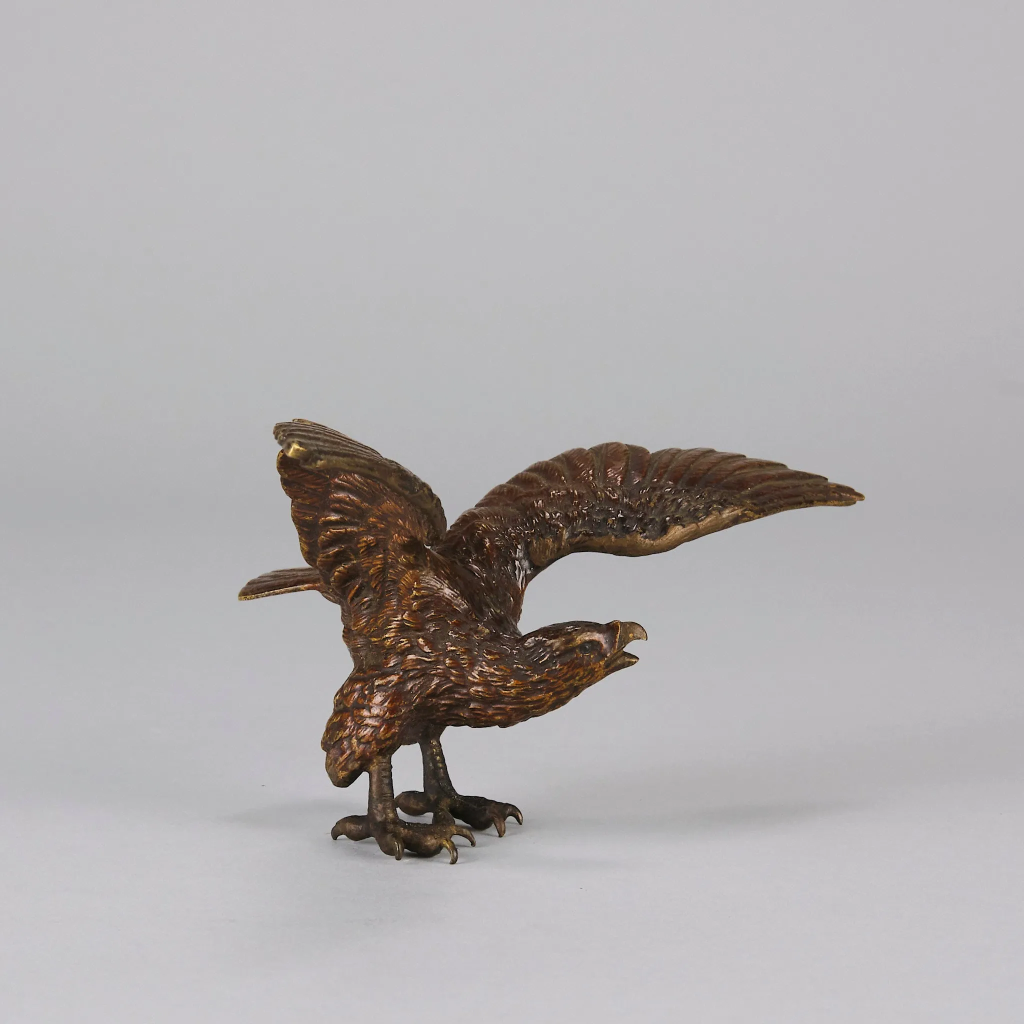 "Eagle with Outspread Wings" by Franz Bergman