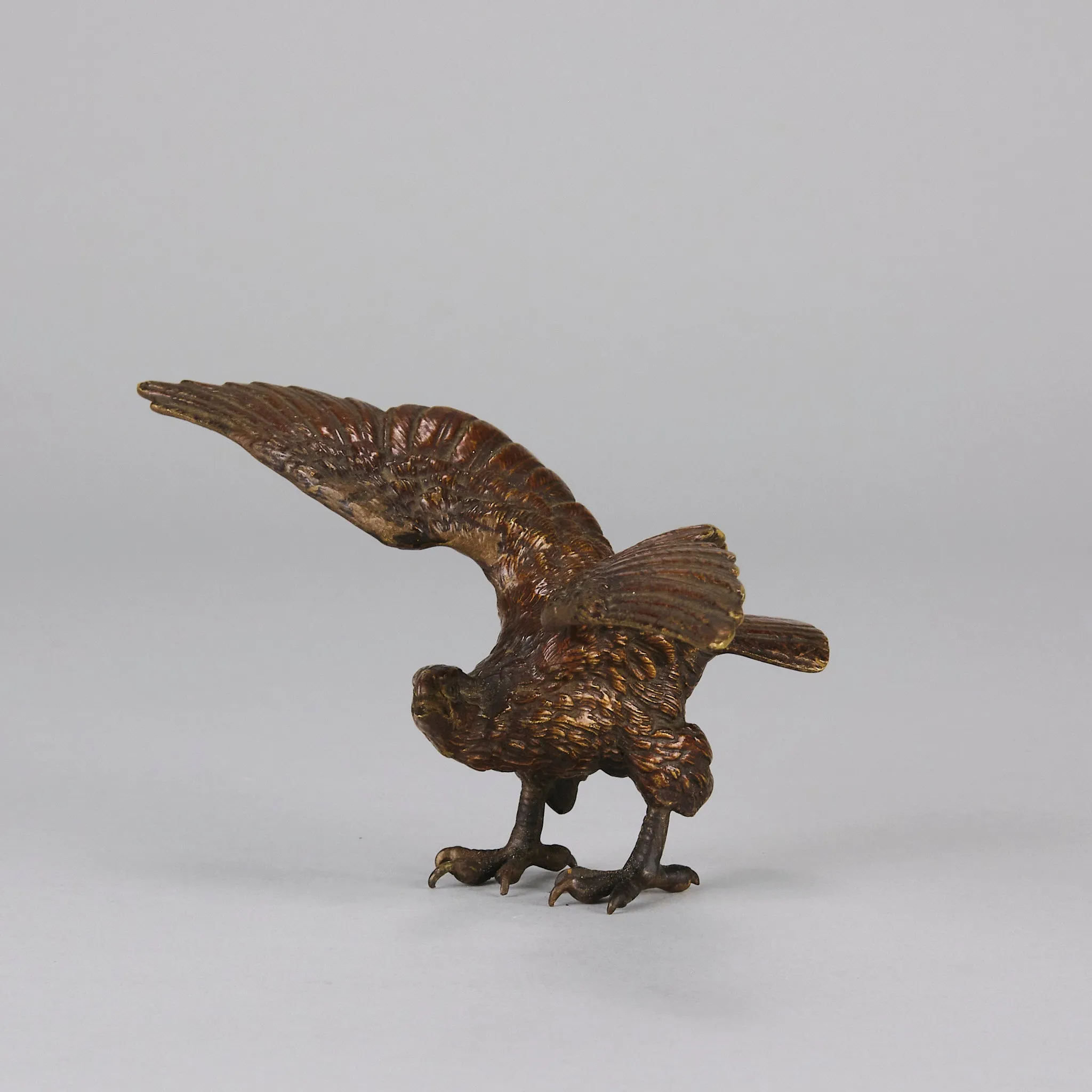 "Eagle with Outspread Wings" by Franz Bergman